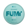 FUMI Spearmint Mini