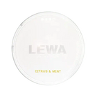 LEWA Citrus & Mint