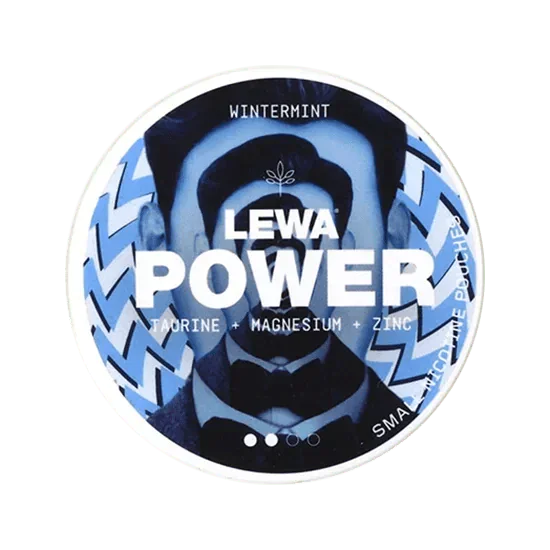 lewa power wintermint nicotine pouches