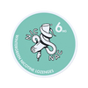 NIC NAC Wintergreen - 6 mg (Nicotine Lozenges)