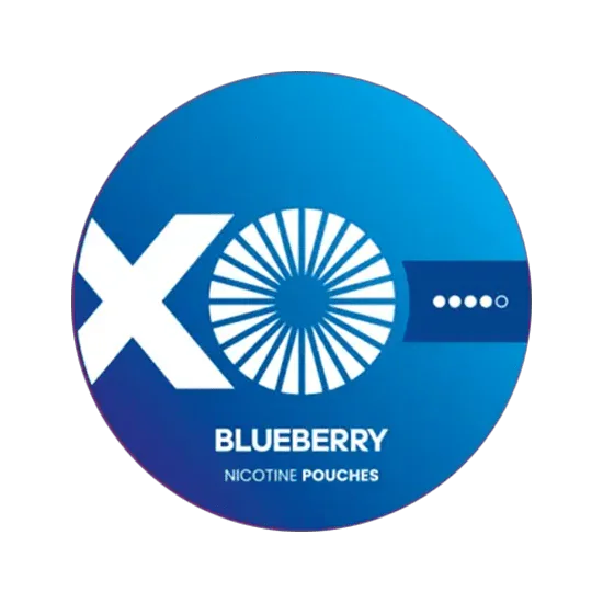 xo blueberry nicotine pouches