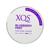 XQS Blueberry Mint 0% (50mg Caffeine)