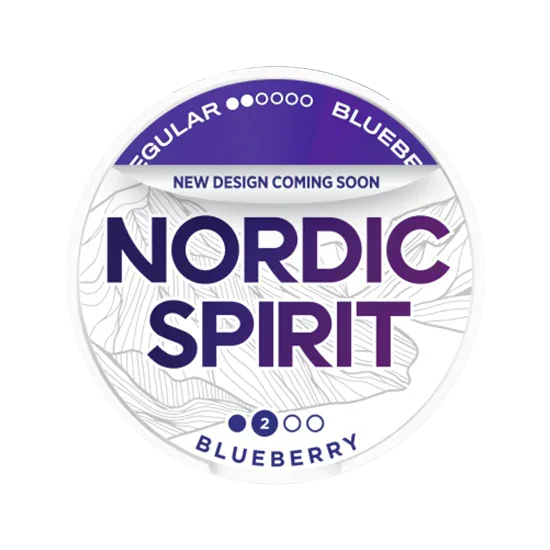 NORDIC SPIRIT Blueberry Regular - blueberry flavour, all-white nicotine pouch by JTI