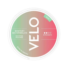 VELO Wintery Watermelon Mini