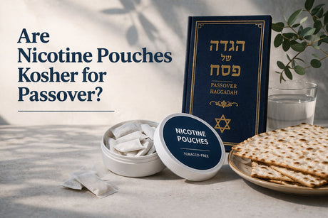 Are Nicotine Pouches Kosher for Passover? A Complete Guide to ZYN and Other Brands