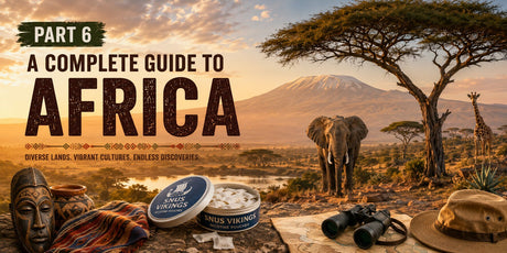 Are Nicotine Pouches Legal Abroad? Part 6 - A Complete Guide to Africa