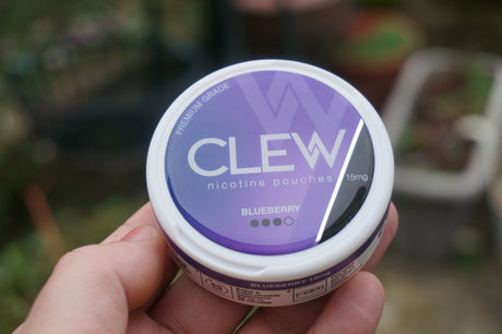 CLEW Nicotine Pouches – An Expert Review from Snus Vikings