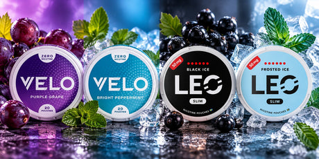 Four New Nicotine Pouch Products Arrive at Snus Vikings: VELO 0% and LEO 35mg