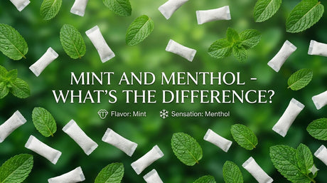 Mint vs Menthol Nicotine Pouches: What’s the Difference and Why It Matters