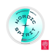 NORDIC SPIRIT Spearmint Strong