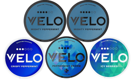 velo mint nicotine pouch bundle