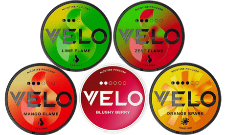 velo tropical nicotine pouch bundle