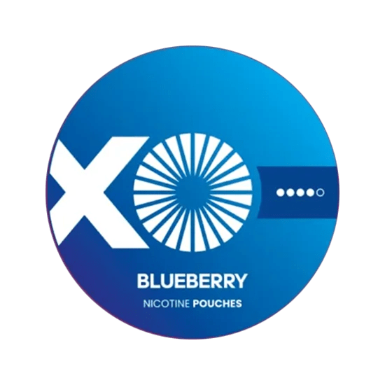 xo blueberry nicotine pouches