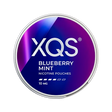 XQS Blueberry Mint - 10mg slim nicotine pouch can with blueberry, mint flavour