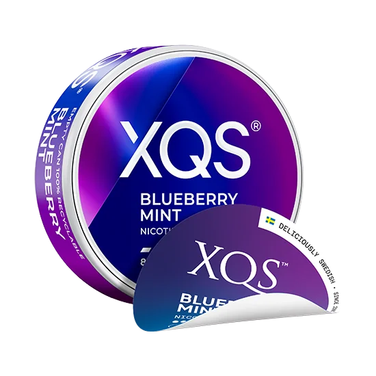XQS Blueberry Mint - 8mg slim nicotine pouch can with blueberry, mint flavour