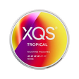 XQS Tropical - 10mg slim nicotine pouch can with pineapple, ripen mangos, passion fruit flavour