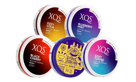 xqs nicotine pouch bundle 8mg