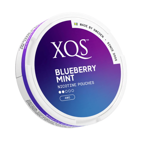 XQS Blueberry Mint - 4mg (Light)