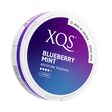 xqs blueberry mint 8mg strong nicotine pouches