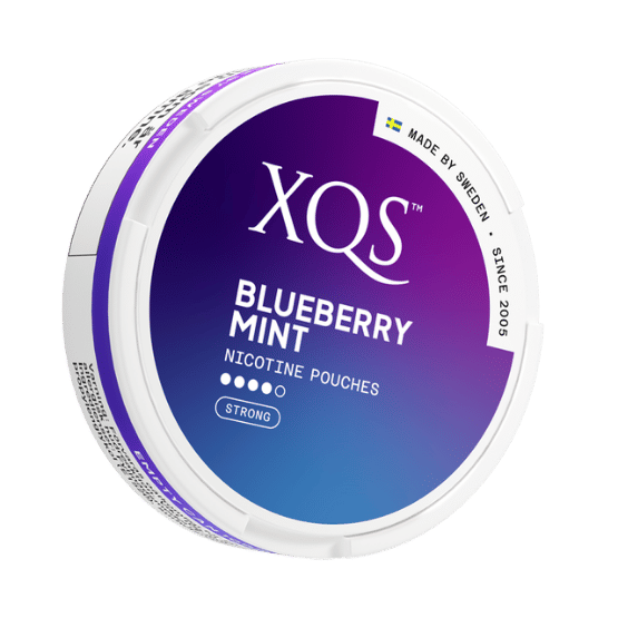 xqs blueberry mint 8mg strong nicotine pouches