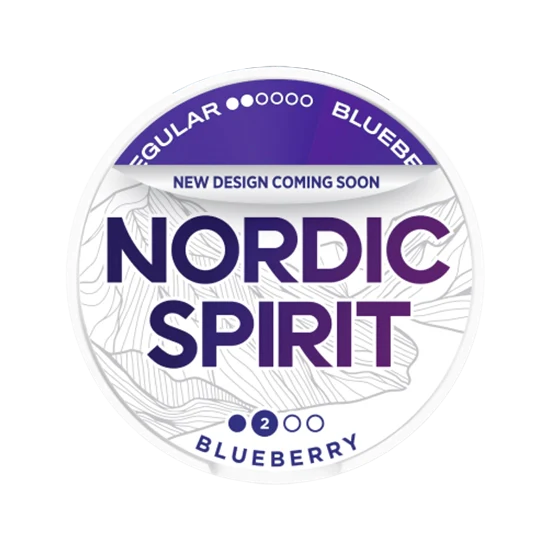 NORDIC SPIRIT Blueberry Regular - blueberry flavour, all-white nicotine pouch by JTI