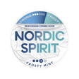 nordic spirit frosty mint strong - 14 mg nicotine pouches