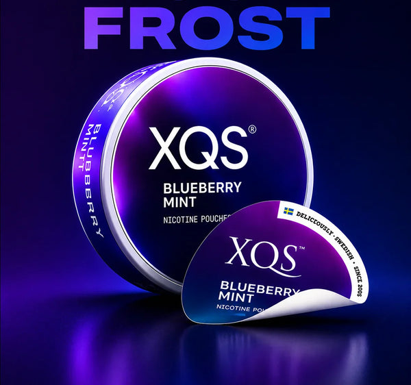 XQS Blueberry Mint - 8mg