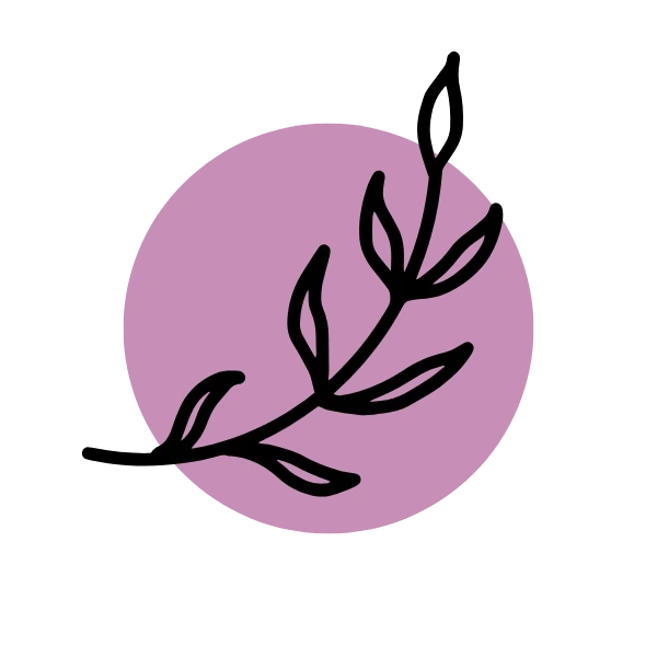 Spicy & Herbal - Snus Vikings